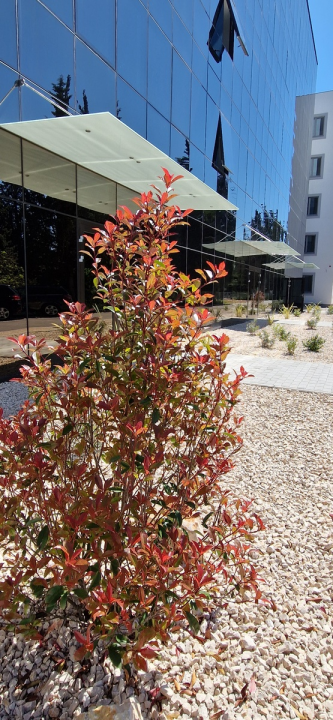 Uređen okoliš studentskog doma Palacin
