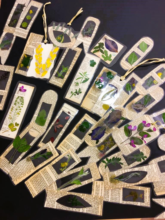 Učenici iz nekoliko europskih zemalja posjetili šibensku knjižnicu