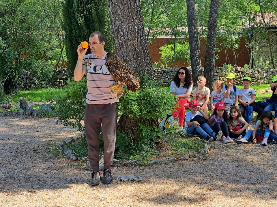 Mališani iz DV Tamaris posjetili Sokolarski centar