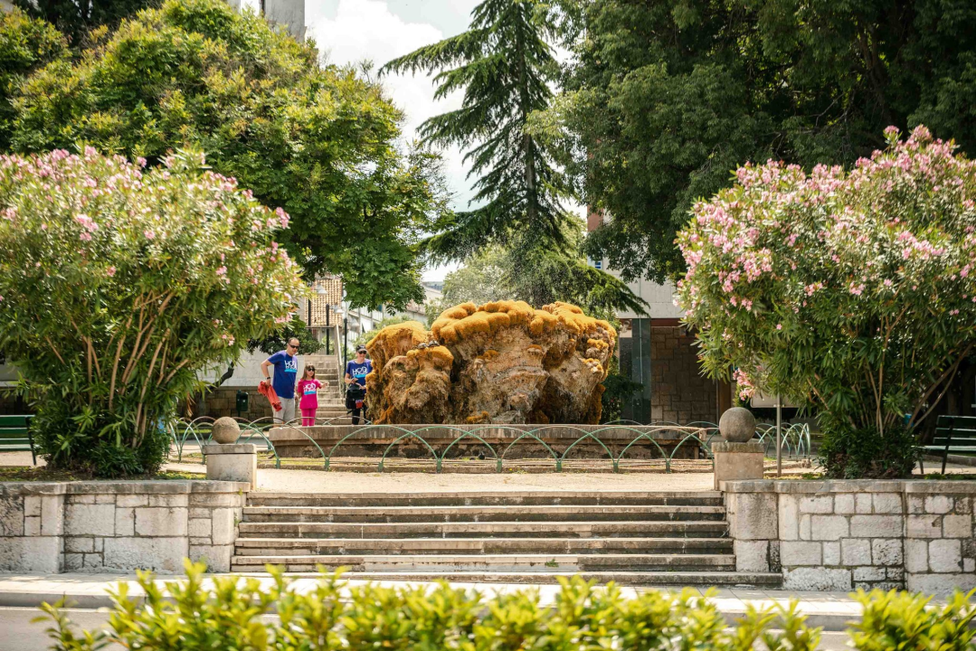 Fontana ispred Gospe van grada malo je požutila: Za par dana opet će zazeleniti, obećali su iz Zelenog grada 