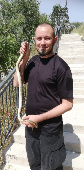 Denis Periša Darkman spasio još jednog kravosasa iz centra Šibenika: To je već treći ove sezone