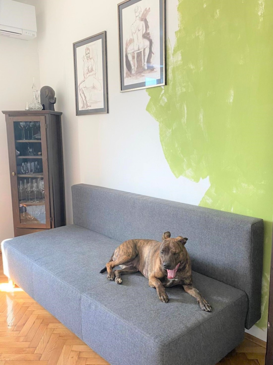 Prodaje se prekrasan kompletno renoviran stan na odličnoj lokaciji s pogledom na more!