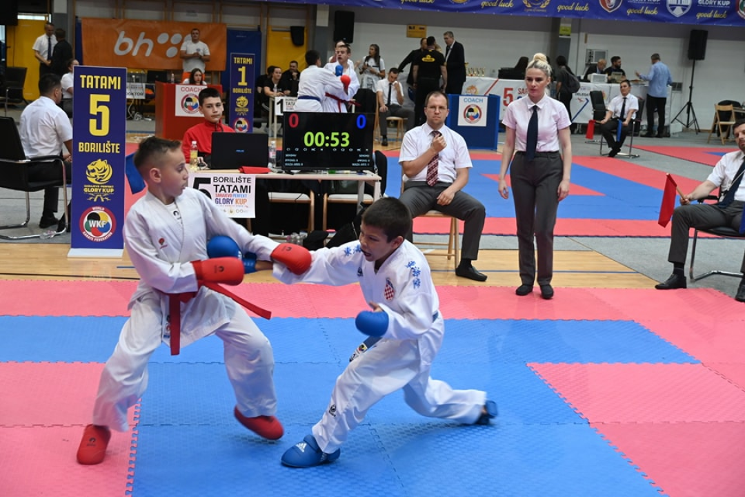 Vodički karataši s natjecanja u Sarajevu vratili se s 11 medalja