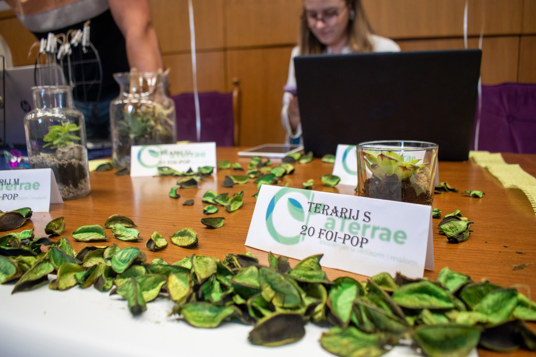 Sinergija informatičkih i ekonomskih znanja glavni je adut Fakulteta organizacije i informatike!