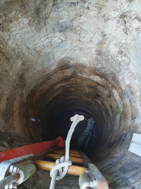 Zlarinski vatrogasci spasili jarca iz bunara: 'Navodno je upao prije više dana'