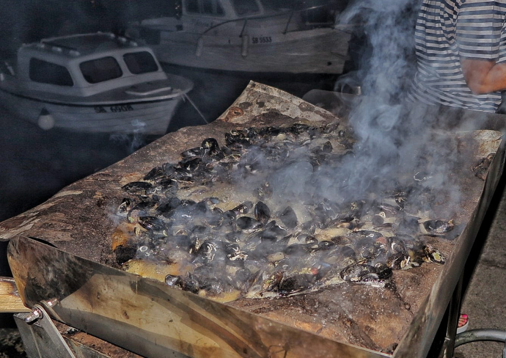 Pogledajte kako je bilo na tradicionalnoj Zatonskoj pidočijadi