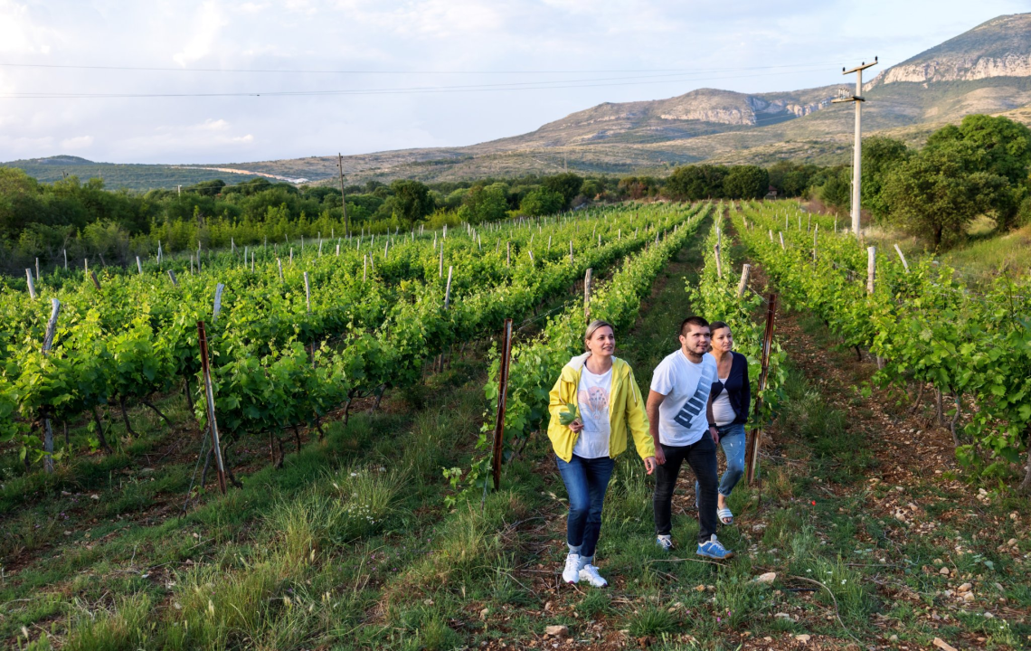 Na jesenskom roku upišite Veleučilište 'Marko Marulić' u Kninu!