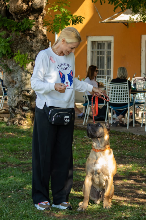 Tko preko Šibenskih šapa udomi psa, dobit će na dar godišnju kartu za NP Krka
