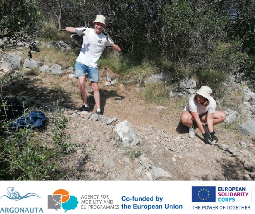 Masline su obrane, površine su zazelenjene, a Murter je čišći 