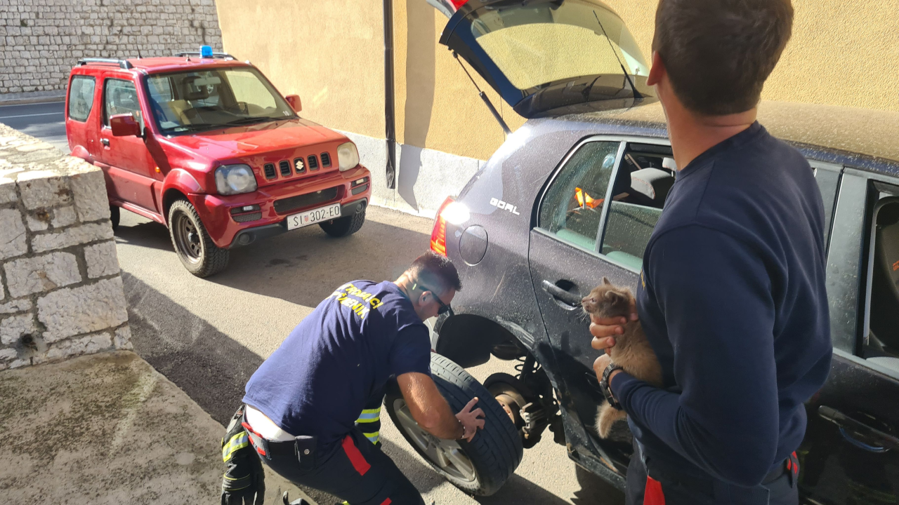 Šibenski vatrogasci brzi i efikasni: Spasili malu macu koja se zaglavila u kolu automobila 