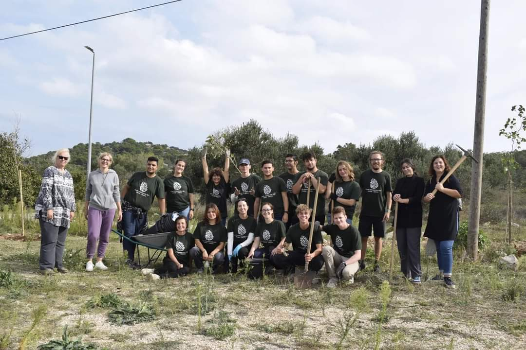 Masline su obrane, površine su zazelenjene, a Murter je čišći 