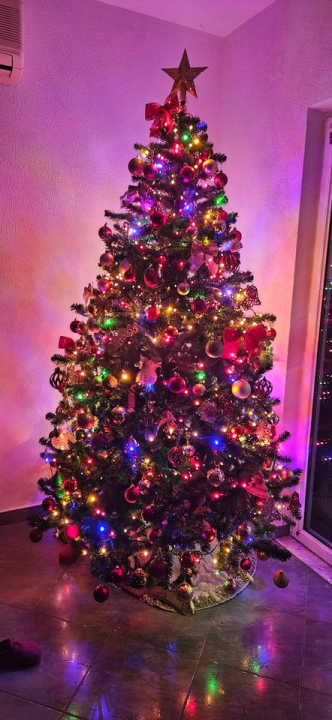 Provjerite tko su pobjednici izbora za naj jelku!