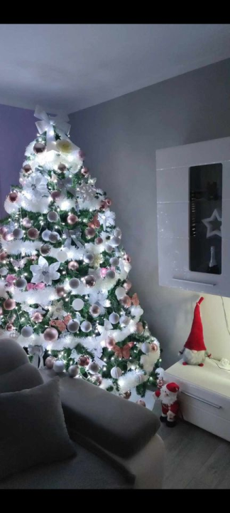 Provjerite tko su pobjednici izbora za naj jelku!