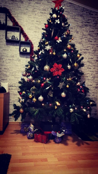 Provjerite tko su pobjednici izbora za naj jelku!