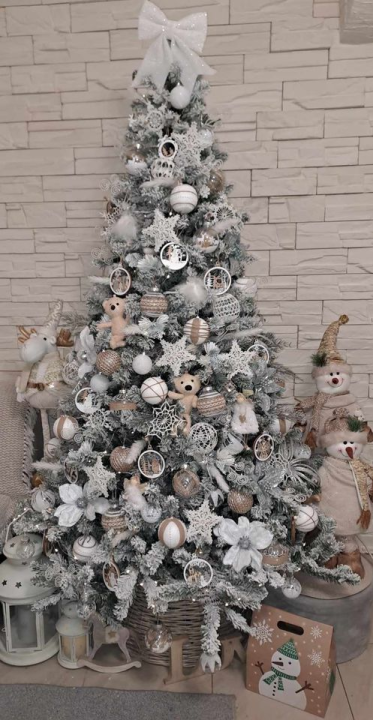 Provjerite tko su pobjednici izbora za naj jelku!