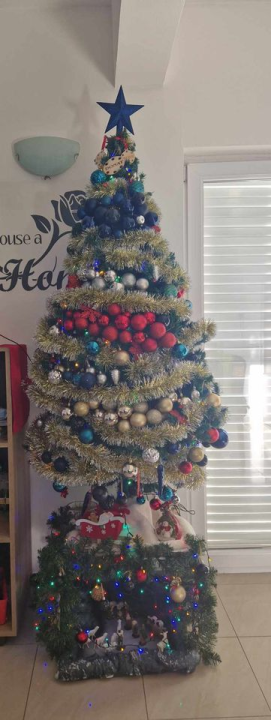 Provjerite tko su pobjednici izbora za naj jelku!