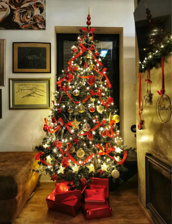 Provjerite tko su pobjednici izbora za naj jelku!