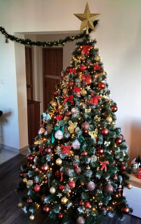 Provjerite tko su pobjednici izbora za naj jelku!