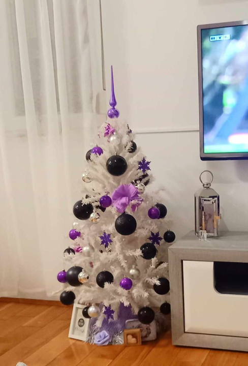 Provjerite tko su pobjednici izbora za naj jelku!