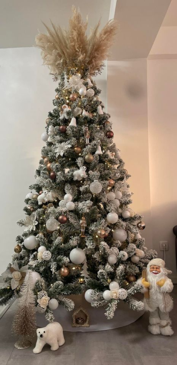 Provjerite tko su pobjednici izbora za naj jelku!