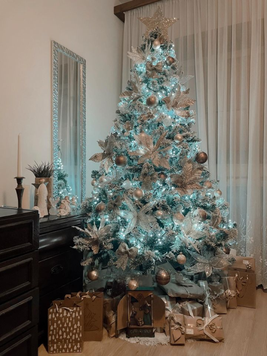 Provjerite tko su pobjednici izbora za naj jelku!