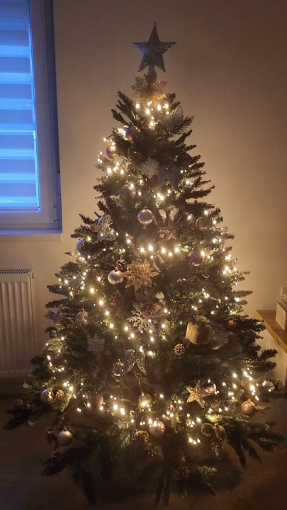 Provjerite tko su pobjednici izbora za naj jelku!