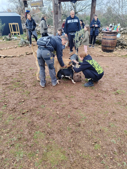 Marko Aleksić, interventni policajac i trener pasa: 'Odgoj psa treba shvatiti ozbiljno, a veću ljubav u životu nećete dobiti'