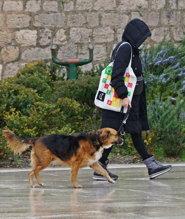 Đir po gradu, nedjelja 25. veljače