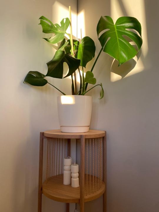 Slovakinju Ivanu ljubav dovela u Šibenik: 'Najteže mi je bilo naviknuti se na dalmatinski koncept kave'