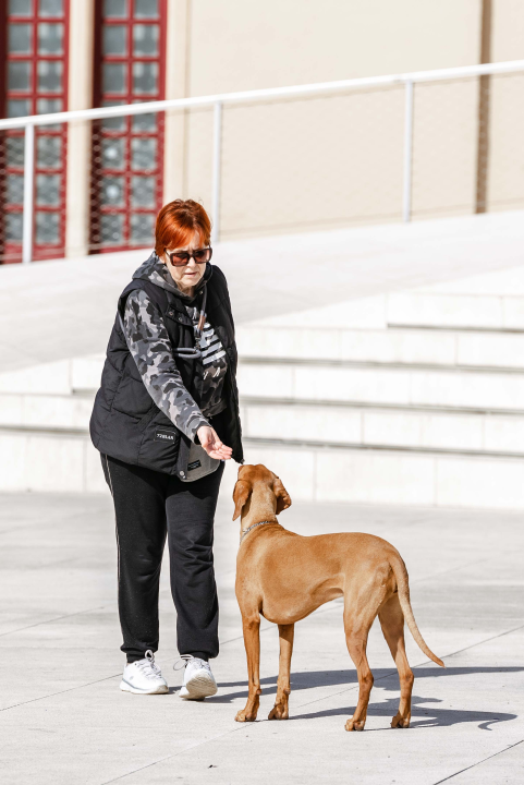 FOTO Đir po gradu, utorak 5. ožujka