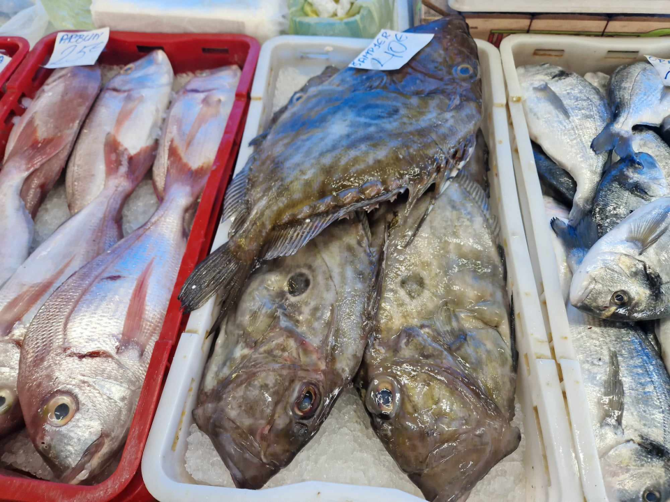 Jugo učinilo svoje: Ne baš bogata ponuda ribe na šibenskoj peškariji na Veliki petak 
