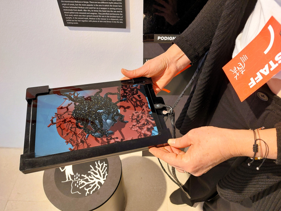 Na Zlarinu otvorena izložba likovnih i literarnih radova s natječaja Mačke