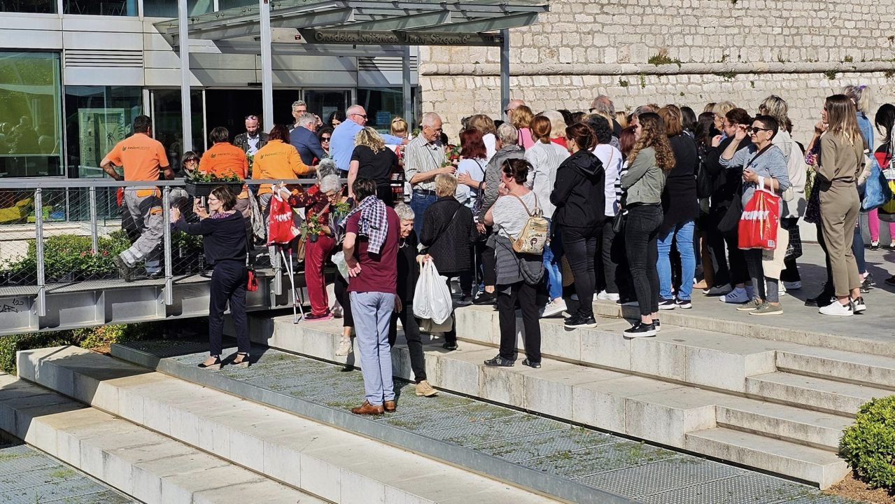 Gužva na Poljani: Šibenčani cvijeće najviše vole kad je besplatno