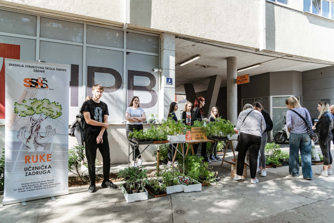 Još sutra će učenici Srednje strukovne škole u Šibeniku prodavati sadnice začinskog bilja i povrća