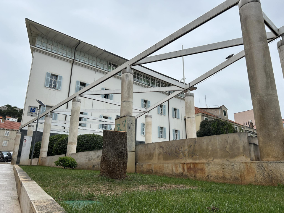 Stablo ispred Gradske uprave kapituliralo pred pilom: 'Počelo se sušiti pa smo uklonili zbog sigurnosti'