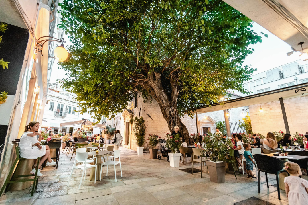 ŠibenikIN nagrađuje: Pošaljite nam fotografije svojih ljubimaca i osvojite vrijedne nagrade!