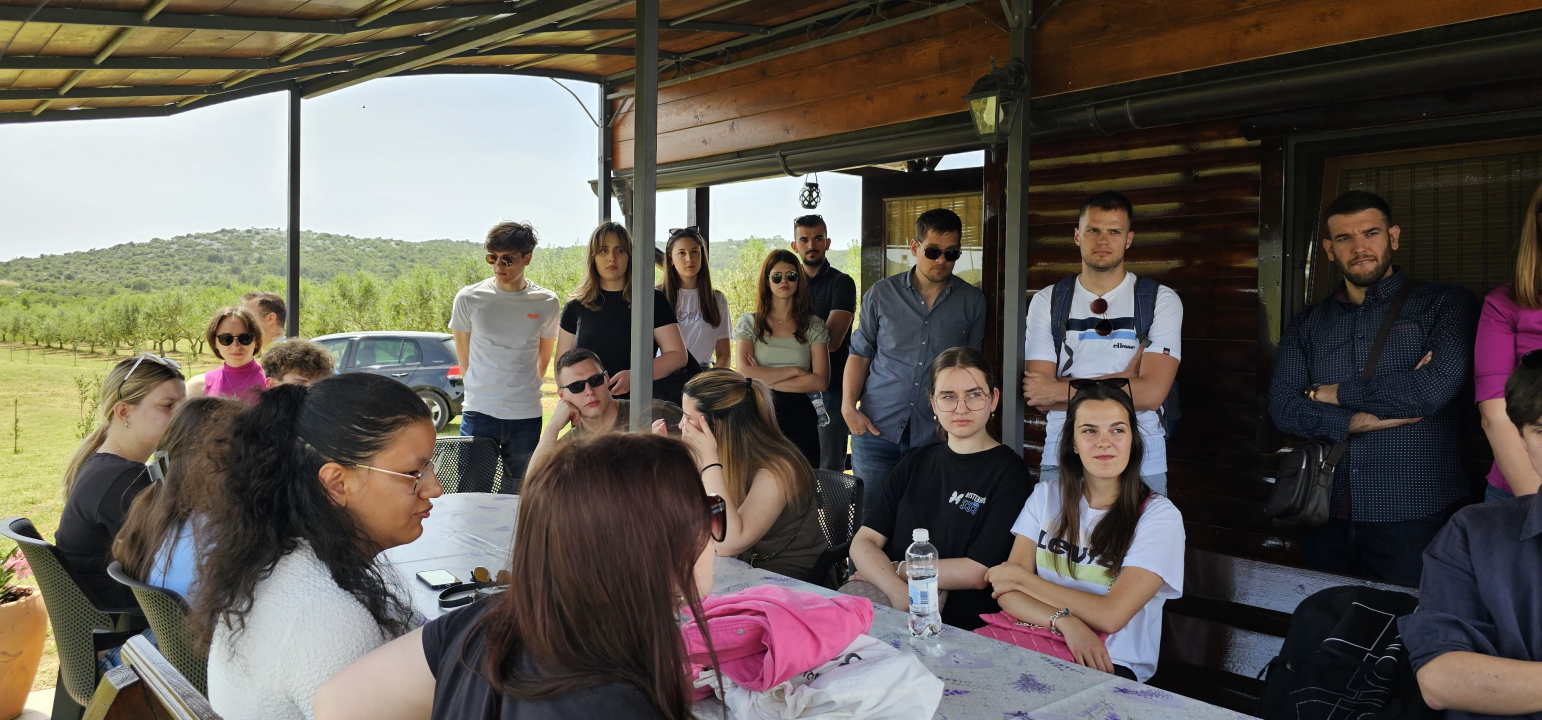 Šibenski studenti na OPG-u Uroda učili o značenju maslinovog ulja kao lijeka i hrane