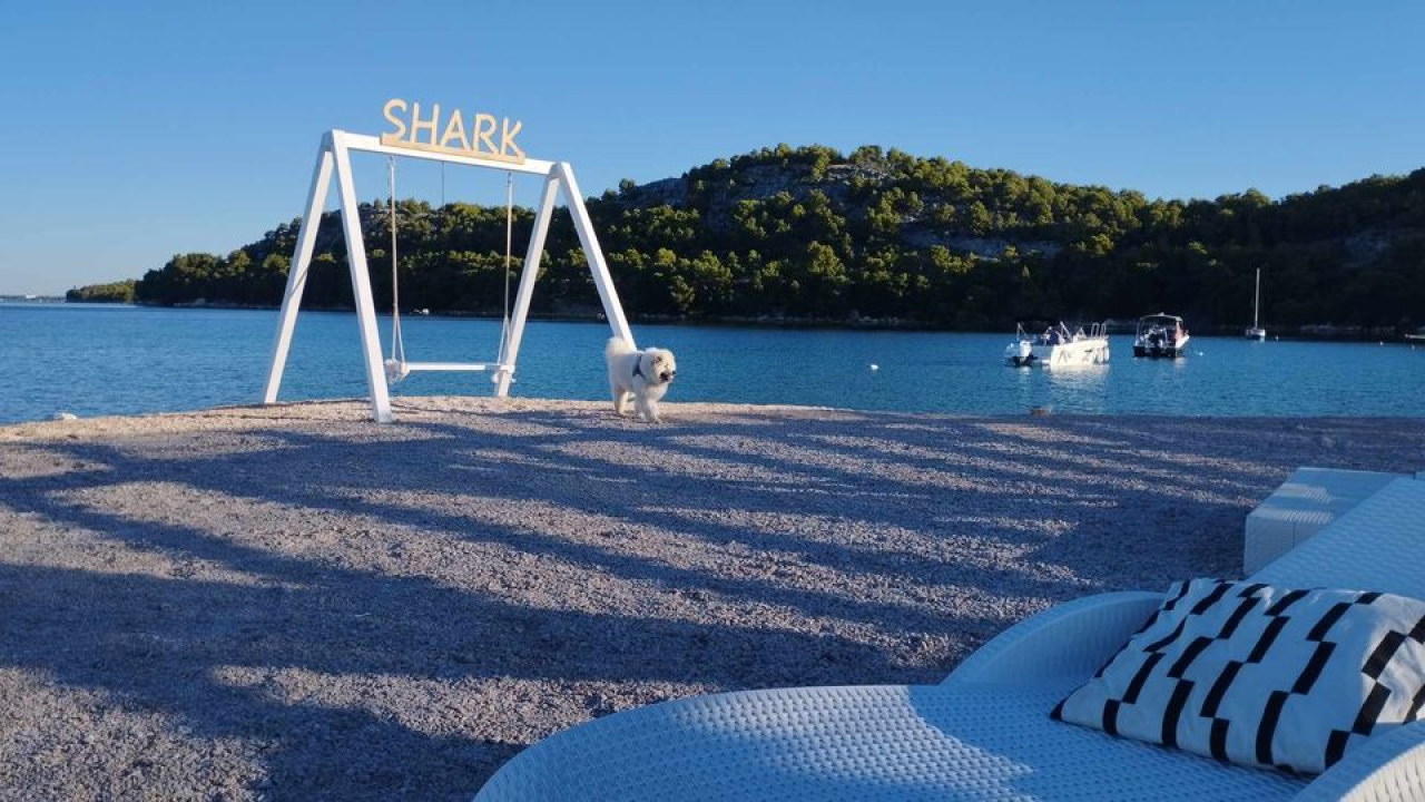 Provjerite tko su naj ljubimci 2024. godine!