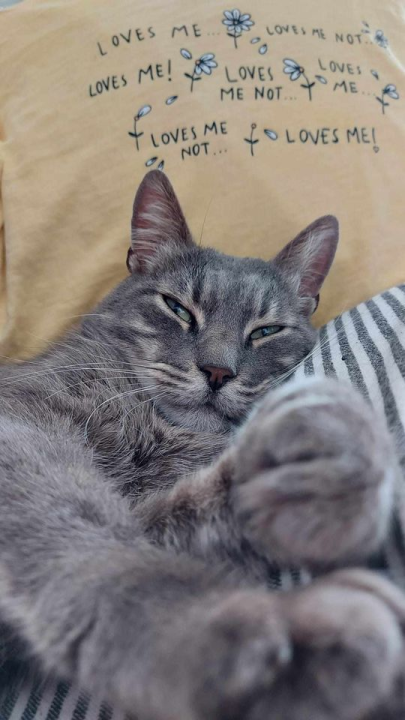 Provjerite tko su naj ljubimci 2024. godine!