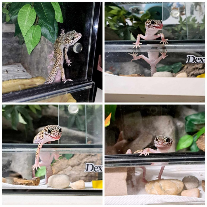 Provjerite tko su naj ljubimci 2024. godine!