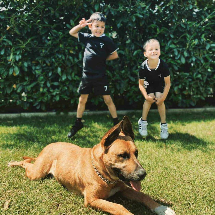 Provjerite tko su naj ljubimci 2024. godine!