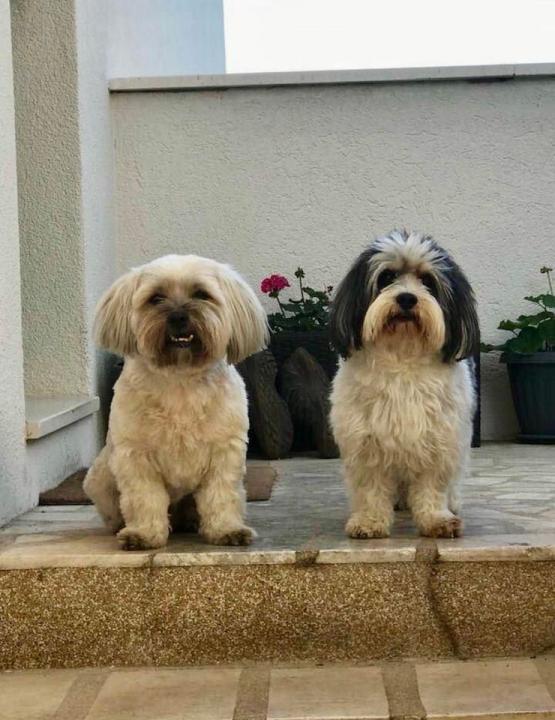 Provjerite tko su naj ljubimci 2024. godine!