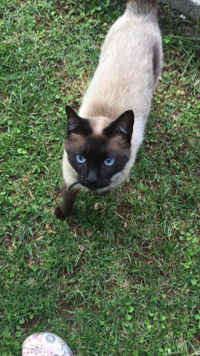 Provjerite tko su naj ljubimci 2024. godine!