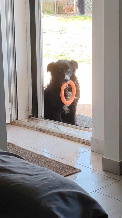 Provjerite tko su naj ljubimci 2024. godine!