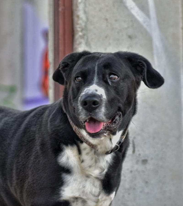 Provjerite tko su naj ljubimci 2024. godine!