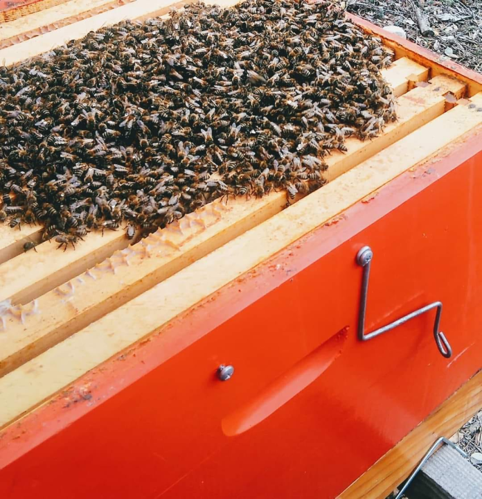 Doris Banić u Dubravicama ima penthouse i hotel, a njezini 'gosti' boravak ne plaćaju