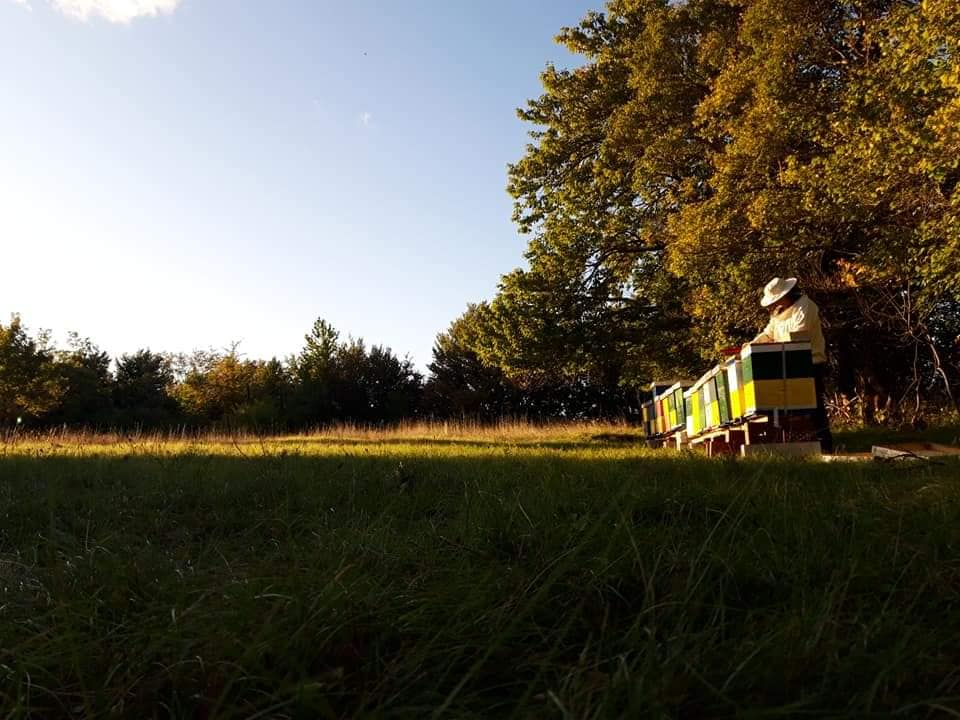 Doris Banić u Dubravicama ima penthouse i hotel, a njezini 'gosti' boravak ne plaćaju