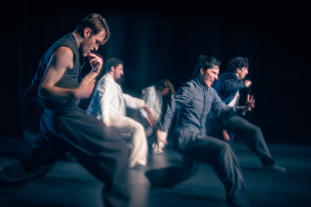 Krenula prodaja ulaznica za 13. Šibenik Dance Festival: Grad se pretvara u veliku plesnu pozornicu 