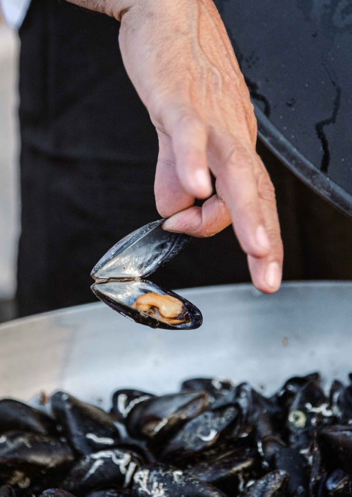Zbog jednog skladnog para trg ispred Županije i ove je godine pun