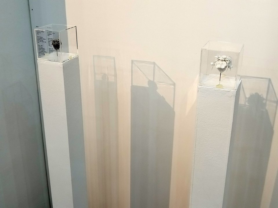 U Muzeju razgledajte izložbu ‘More ljudi obala’ inspiriranu Vrančićevim ‘Machinae Novae’ 